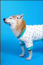 CHARLIE JOLLY CO-STAR PET TEE （星空系列寵物T恤）