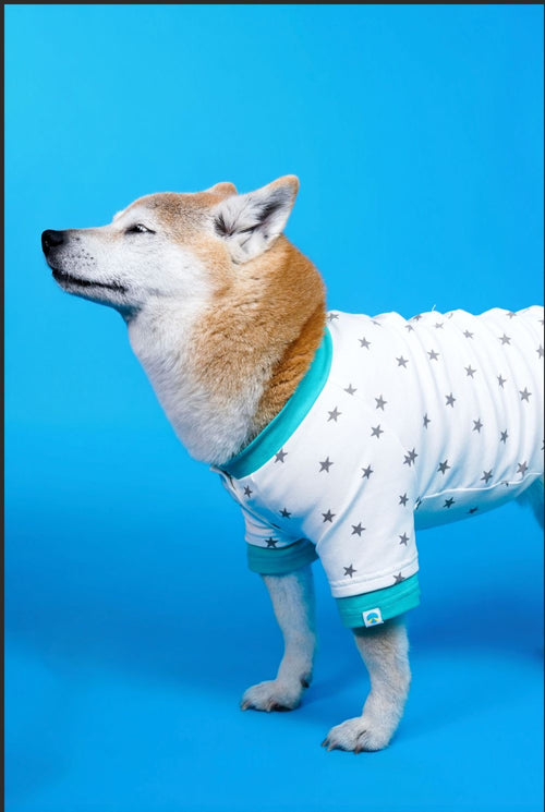 CHARLIE JOLLY CO-STAR PET TEE （星空系列寵物T恤）