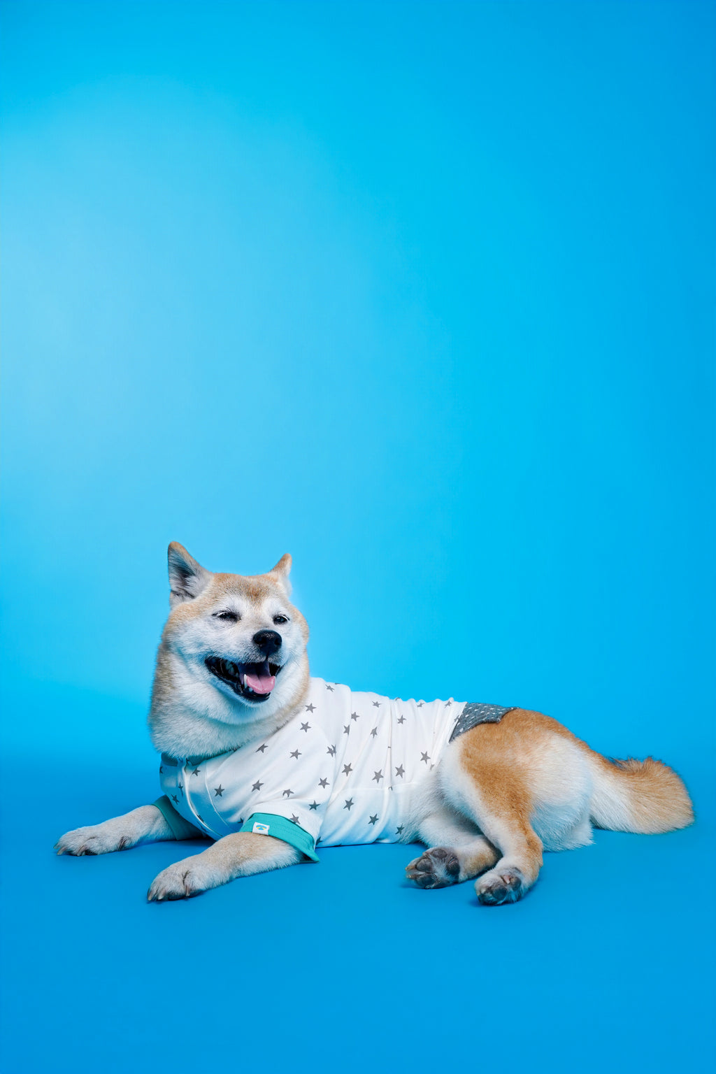 CHARLIE JOLLY CO-STAR PET TEE （星空系列寵物T恤）