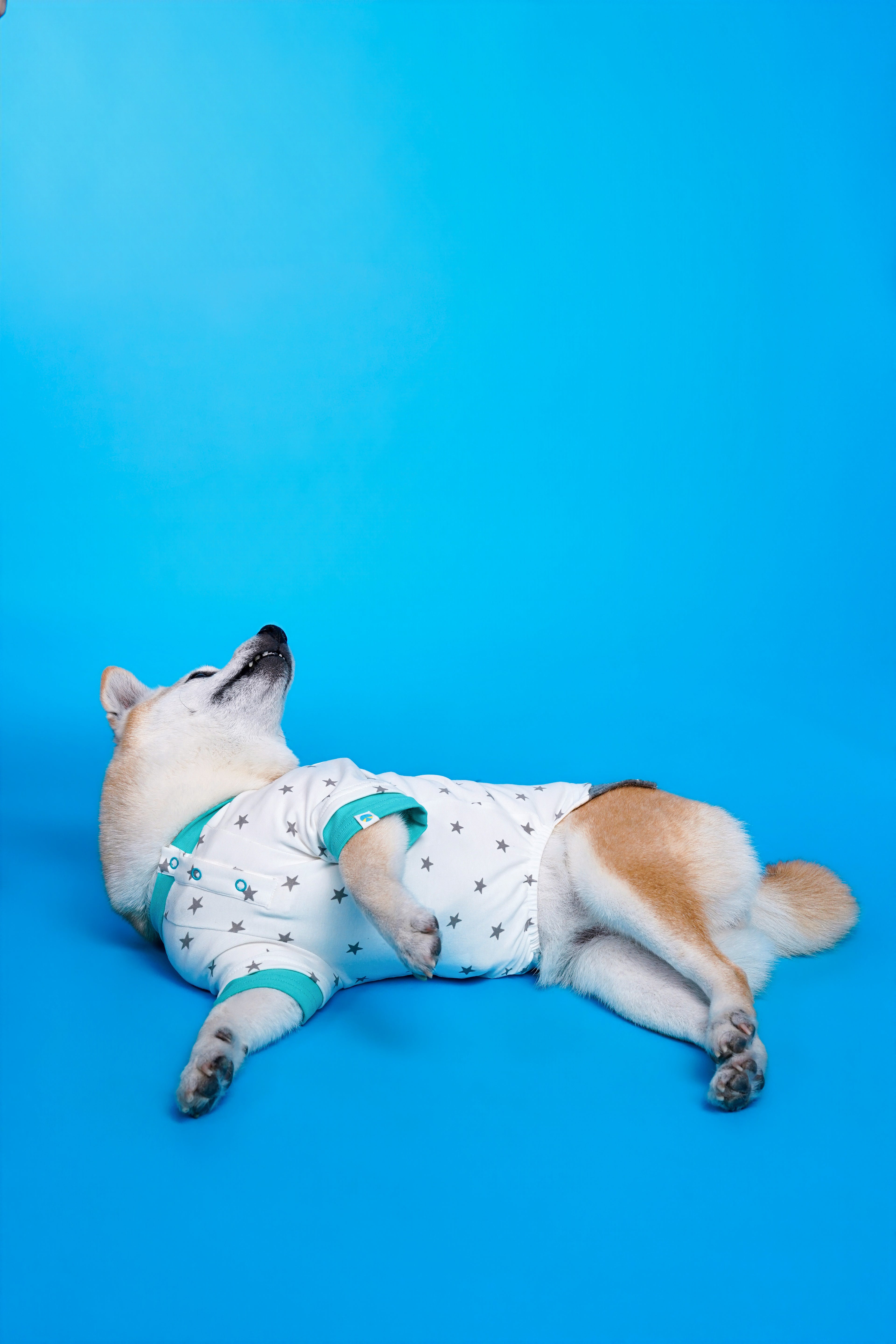 CHARLIE JOLLY CO-STAR PET TEE （星空系列寵物T恤）