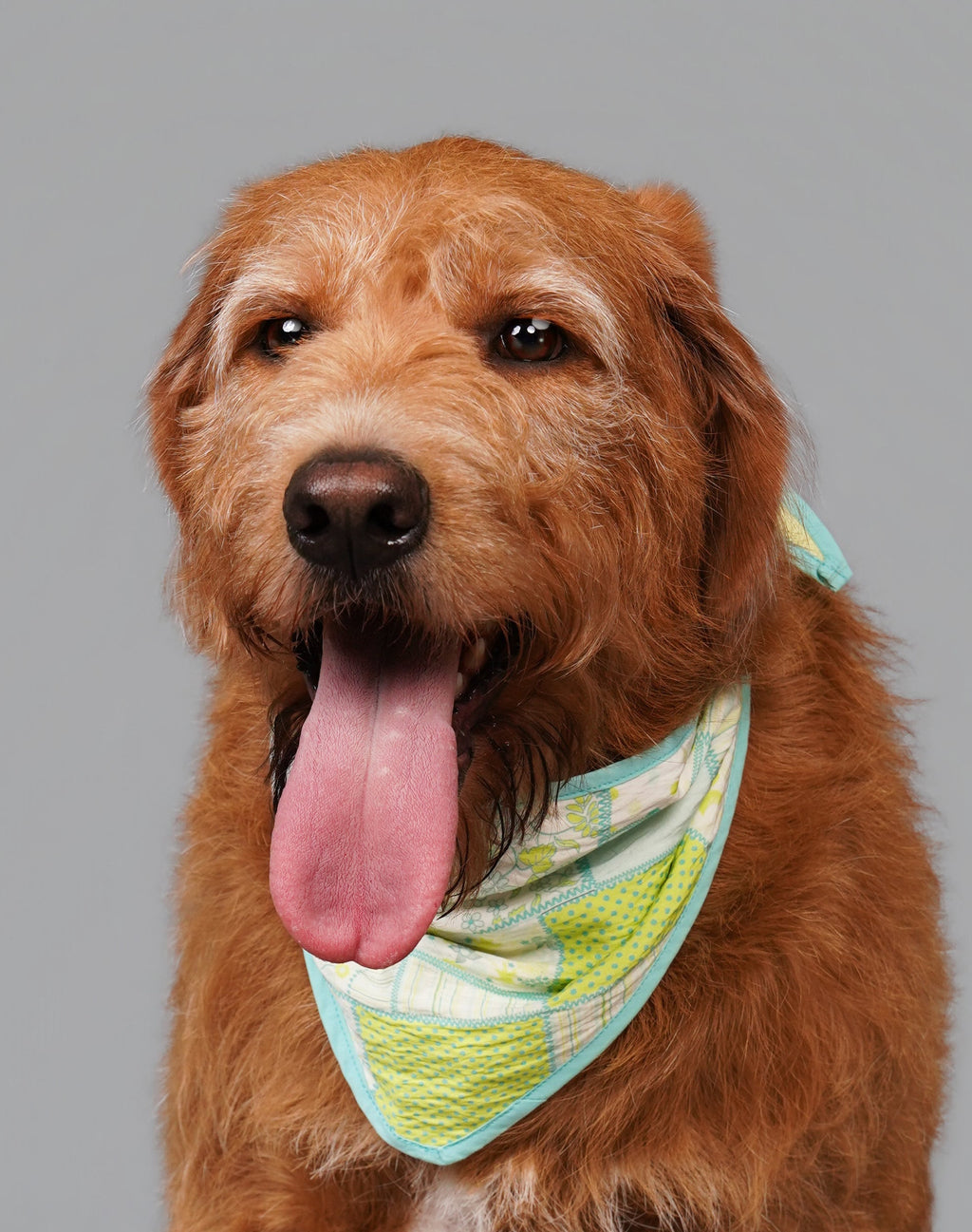 CHARLIE JOLLY PATCH OF US BANDANA （拼伴系列圍巾）