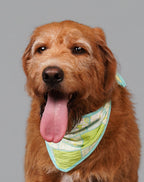 CHARLIE JOLLY PATCH OF US BANDANA （拼伴系列圍巾）