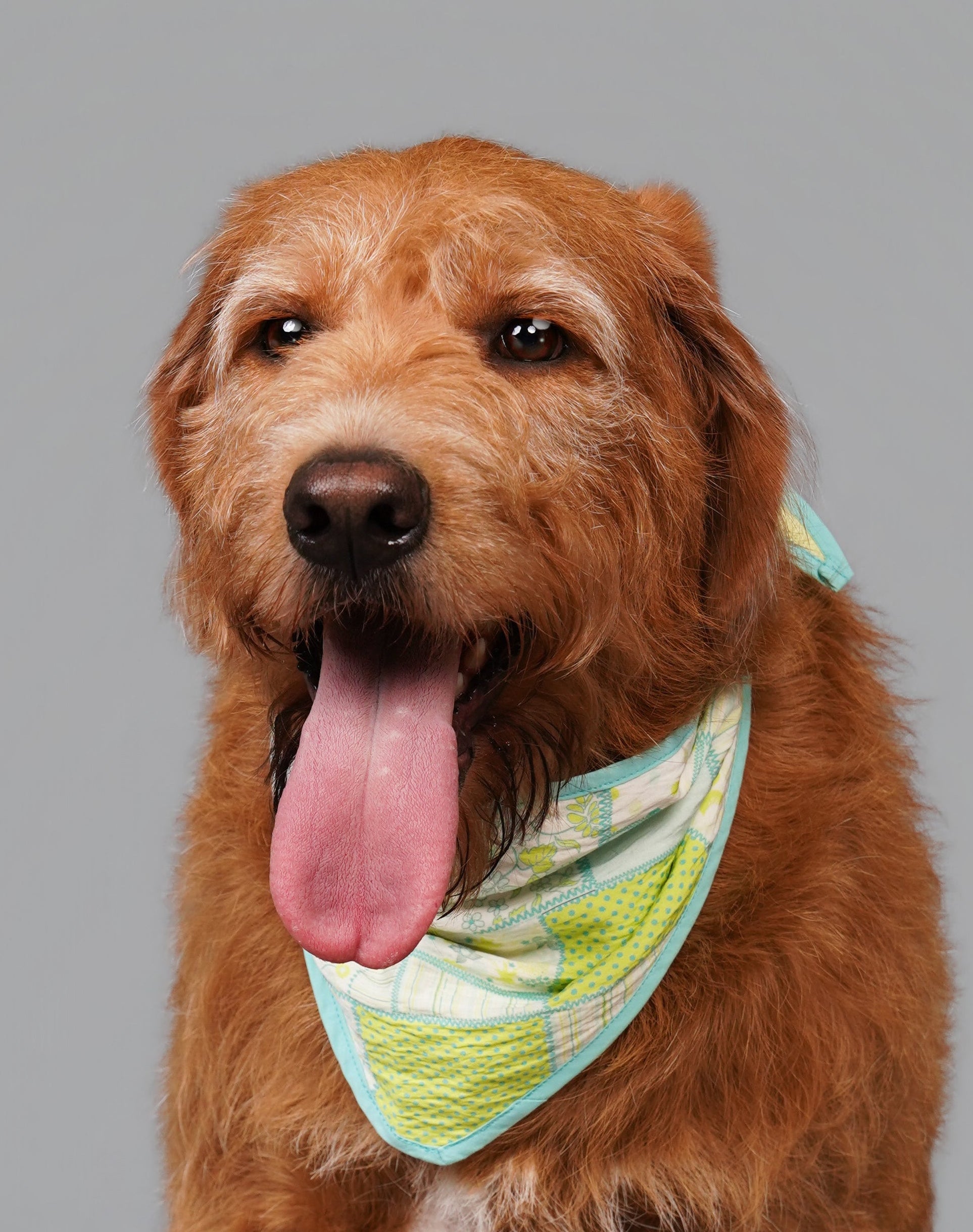 CHARLIE JOLLY PATCH OF US BANDANA （拼伴系列圍巾）