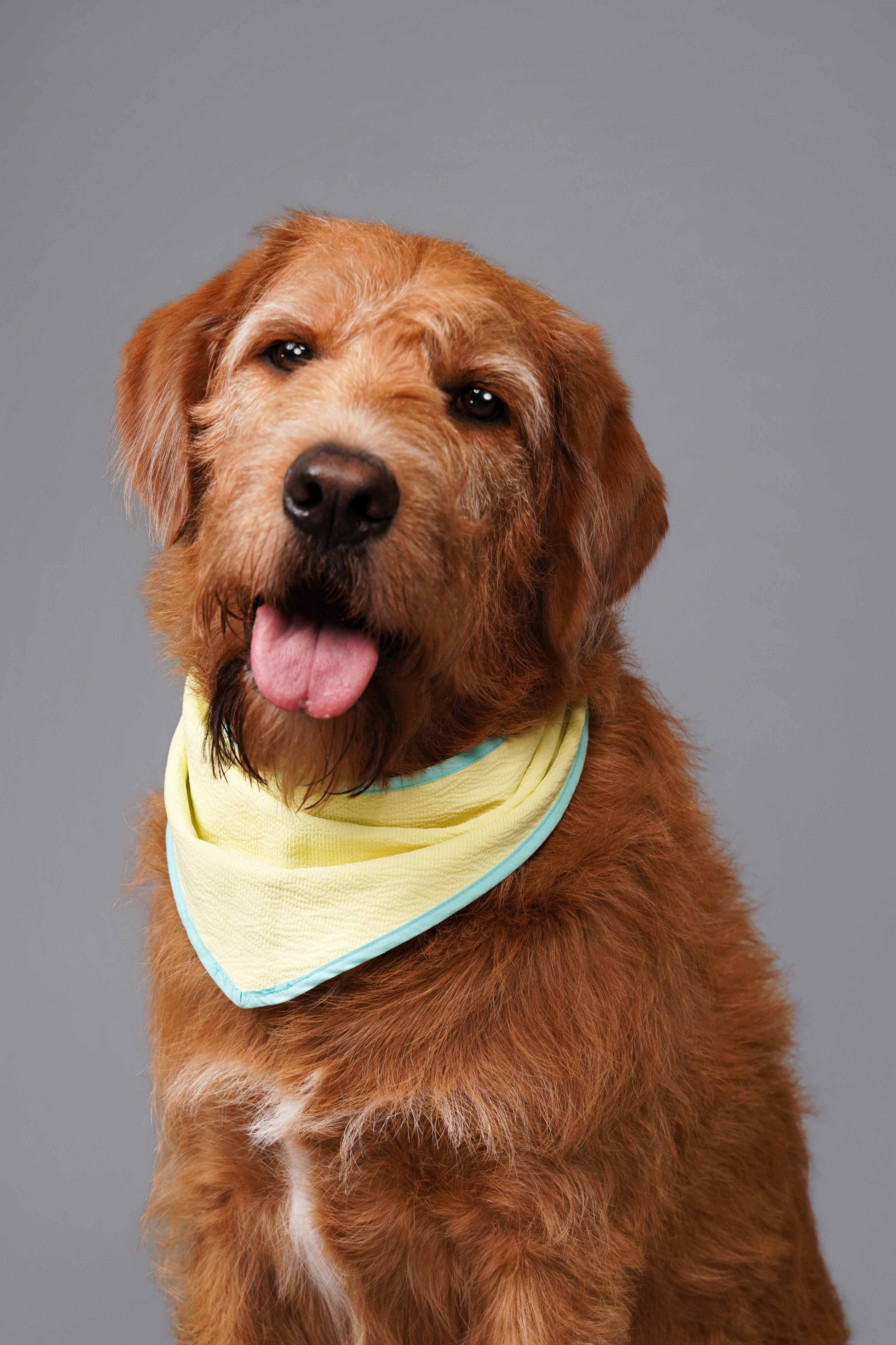 CHARLIE JOLLY PATCH OF US BANDANA （拼伴系列圍巾）