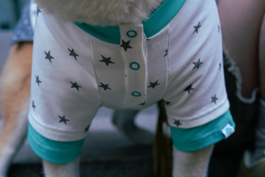 CHARLIE JOLLY CO-STAR MATCHY SET （星空系列人寵套裝）