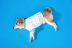 CHARLIE JOLLY CO-STAR PET TEE （星空系列寵物T恤）
