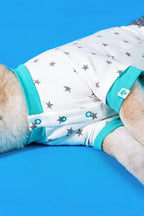 CHARLIE JOLLY CO-STAR PET TEE （星空系列寵物T恤）